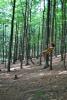 DSC_0151.jpg
